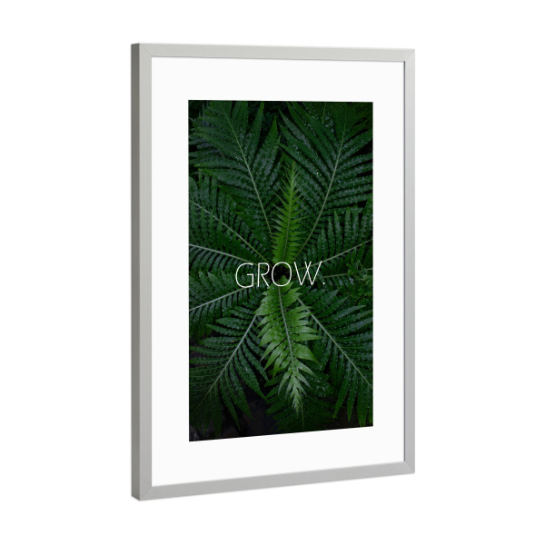 Poster mit Rahmen Silber "Grow - Fern" artboxONE - Typografie,Floral - Grow,Pflanze,Botanischergarten,Botanical,Pflanzenliebe,Typografie
