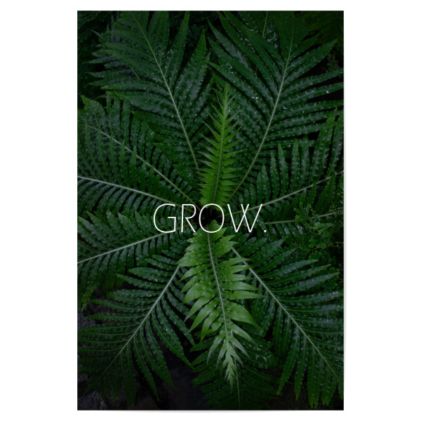 Poster "Grow - Fern" artboxONE - Typografie,Floral - Grow,Pflanze,Botanischergarten,Botanical,Pflanzenliebe,Typografie