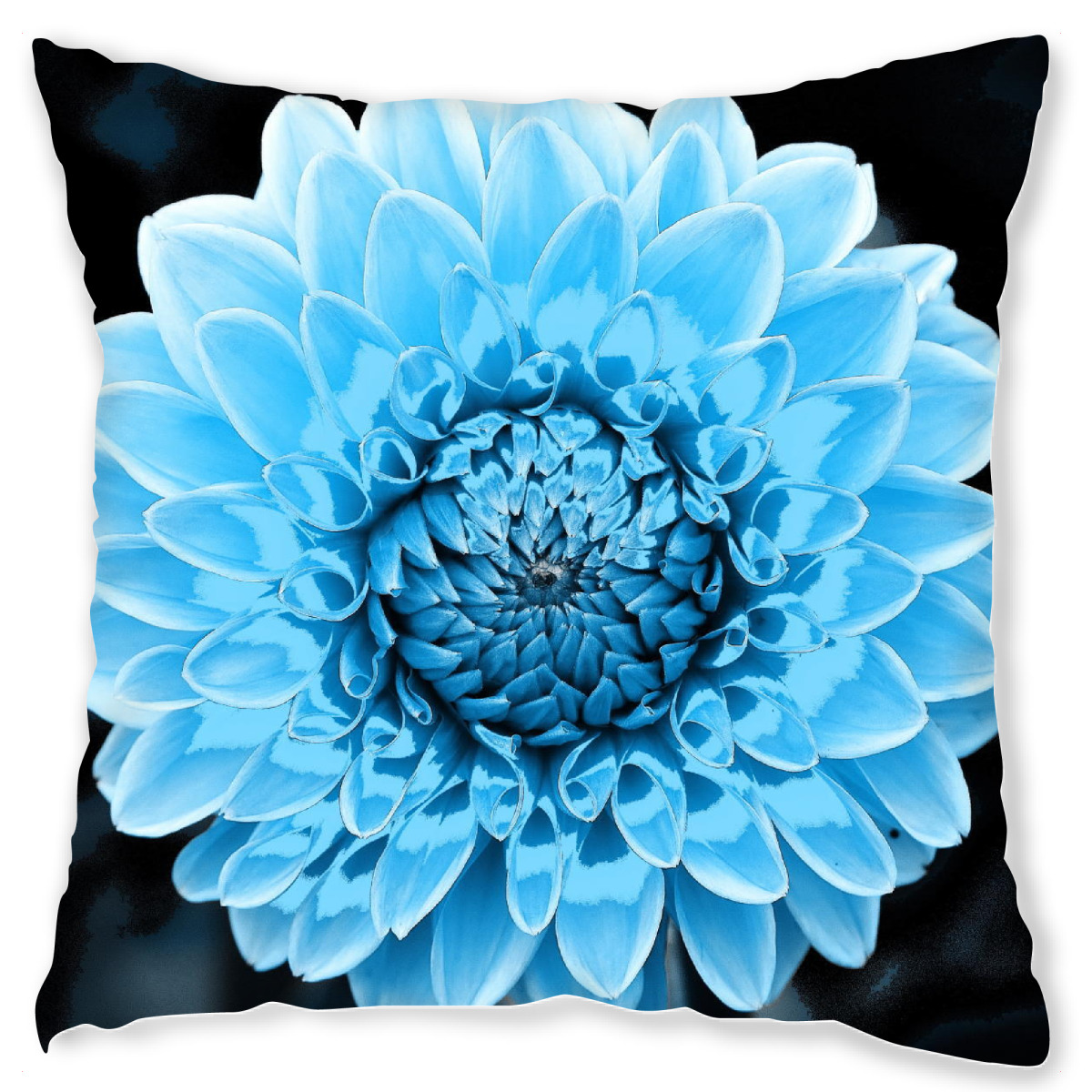 Design-Kissen "Dahlie pop hellblau" artboxONE - Floral - Dahlie,Blau,Pflanze,Blume