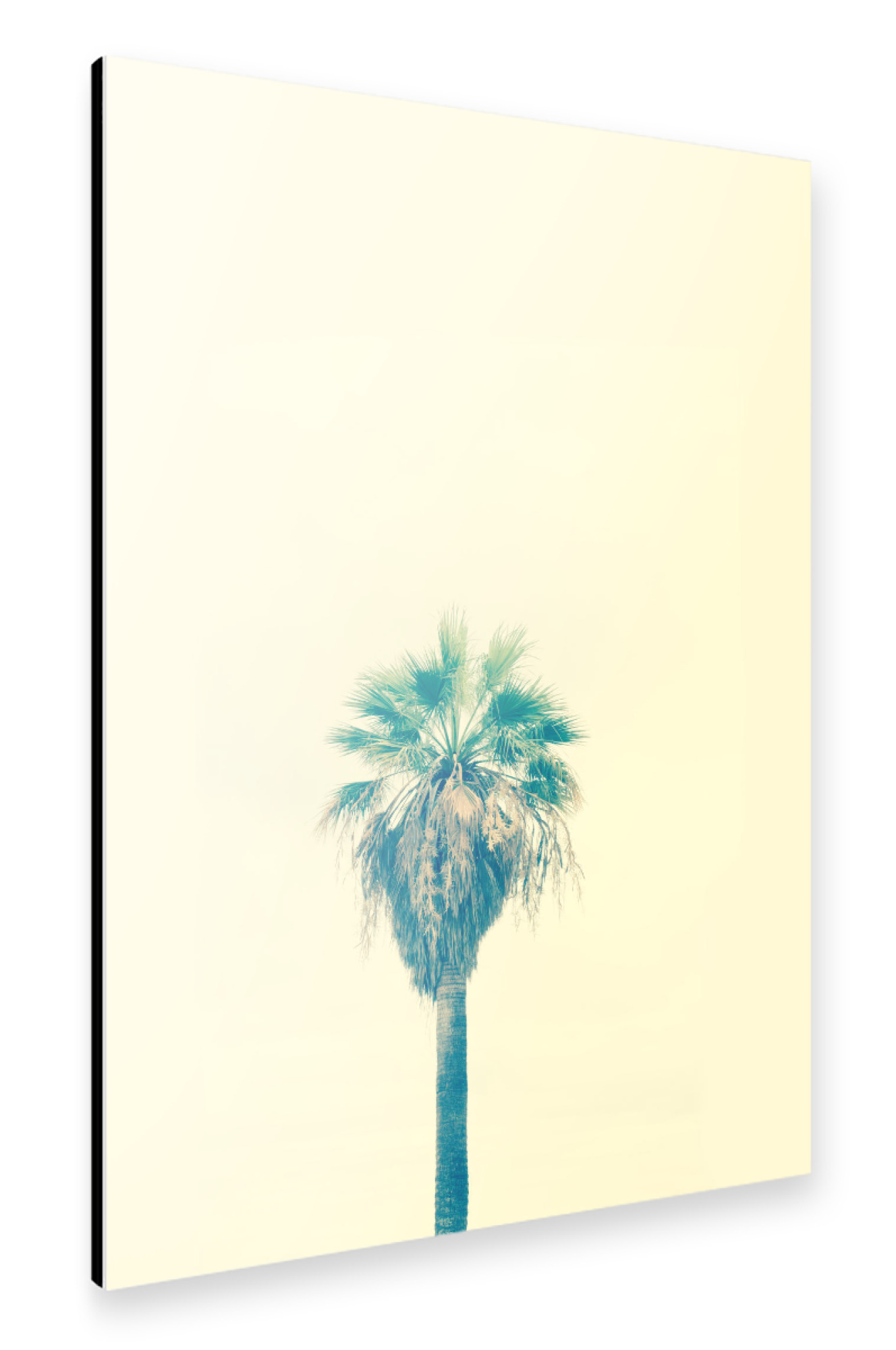 Alu-Dibond "Yellow Sabal Palmetto" 75x50 cm artboxONE