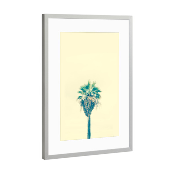 Poster mit Rahmen Silber "Yellow Sabal Palmetto" artboxONE - Natur,Reise