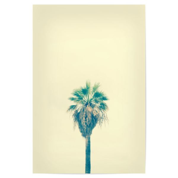 Poster "Yellow Sabal Palmetto" artboxONE - Natur,Reise