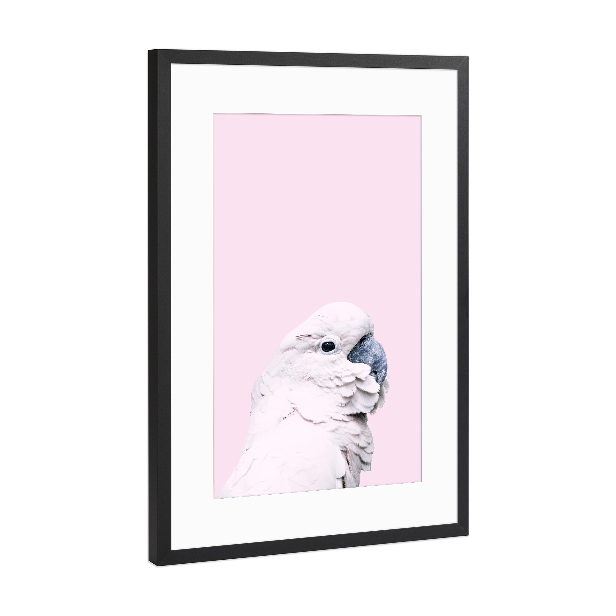 Poster mit Rahmen Schwarz (Metallic) "Pink Parrot" artboxONE - Für Kinder,Tiere