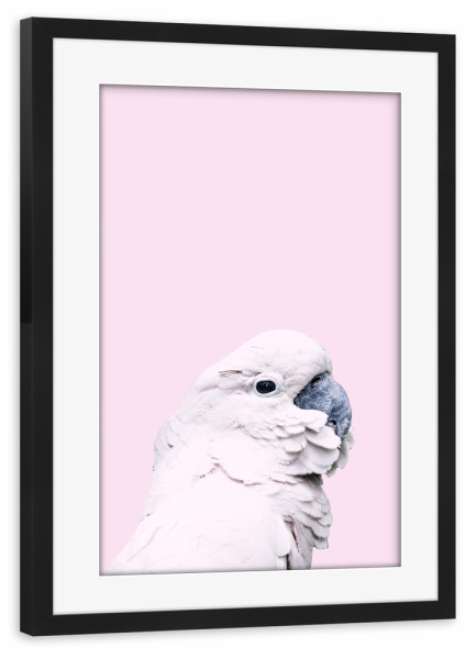 Poster mit Rahmen schwarz "Pink Parrot" artboxONE - Für Kinder,Tiere