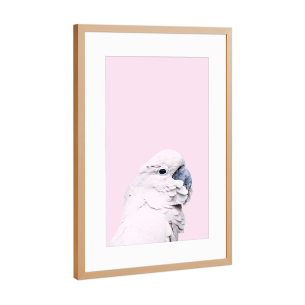 Poster mit Rahmen Kupfer "Pink Parrot" artboxONE - Für Kinder,Tiere
