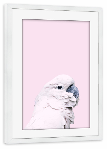 Poster mit Rahmen weiß "Pink Parrot" artboxONE - Für Kinder,Tiere