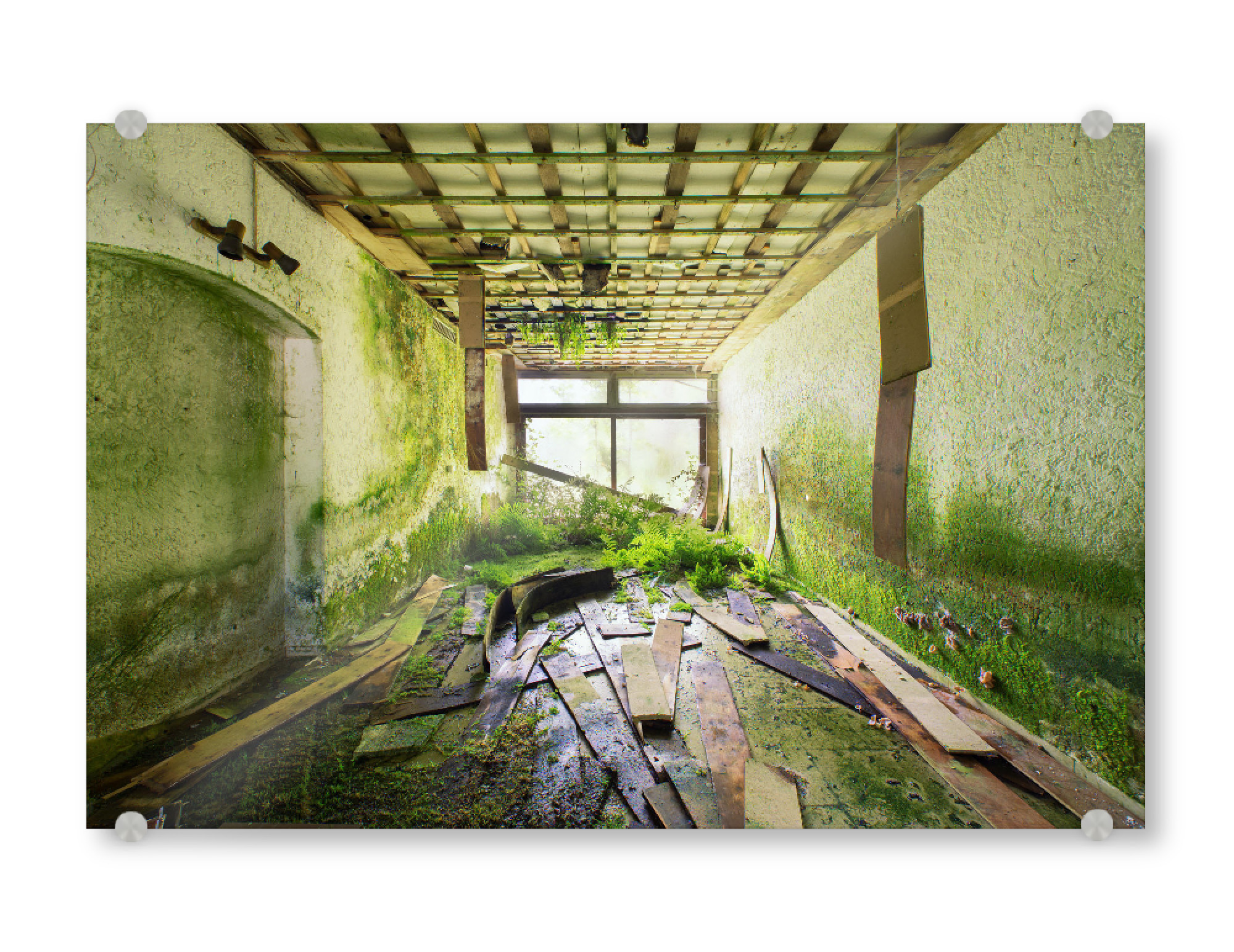 Acrylglasbild "Green Resort" artboxONE - Natur - Abandoned,Urbex,Lost,Places,Decay,Old,Verlassene,Orte,Marode,Alt,Grün,Green,Pflanzen