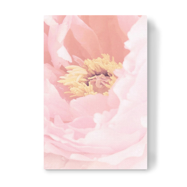 Leinwandbild "Blush Peony" artboxONE - Floral - Peony,Delicate,Flower,Floral,Lovely,Spring