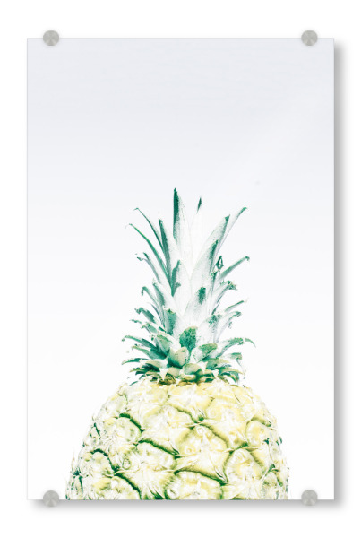 Acrylglasbild "Pastel Pineapple" artboxONE - Essen & Trinken,Essen & Trinken / Obst & Gemüse