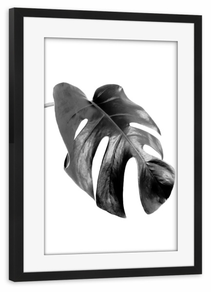 Poster mit Rahmen schwarz "Monstera Leaf Black and White" artboxONE - Floral,Schwarzweiß - Blätter,Schwarz und weiß,Monstera,Tropische pflanzen