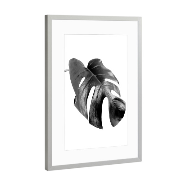 Poster mit Rahmen Silber "Monstera Leaf Black and White" artboxONE - Floral,Schwarzweiß - Blätter,Schwarz und weiß,Monstera,Tropische pflanzen