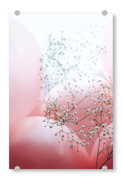 Acrylglasbild "Blooms and Balloons - This Moment" artboxONE - Abstrakt - Floral,Luftballons,Rosé,Feminin