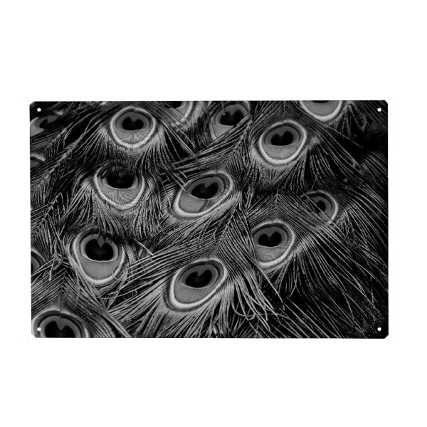 Holzbild "Pfauenfedern Muster schwarzweiß" artboxONE - Natur,Tiere,Schwarzweiß - Pfauenfedern,Federn,Muster,Pattern,Pfau