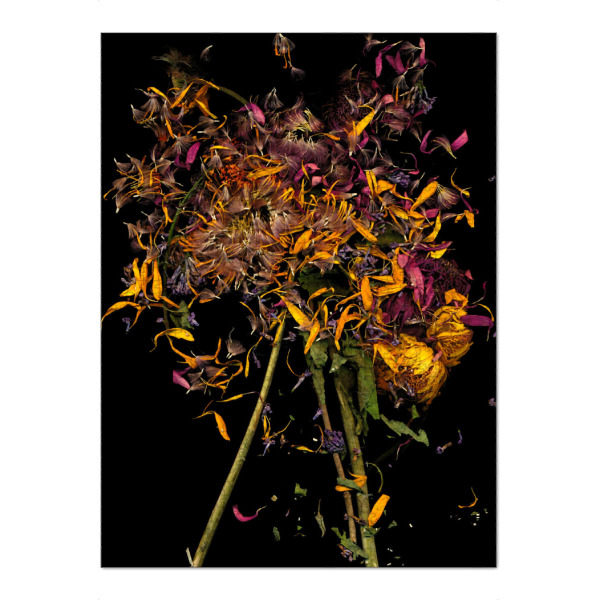 Puzzle Ravensburger "Kornelia" artboxONE - Floral - Flower,Blumen - Bild flower