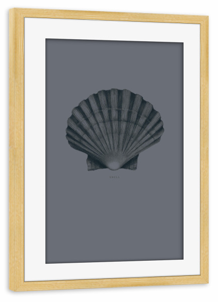 Poster mit Rahmen kiefer "Beautiful shell grey" artboxONE - Unterwasser