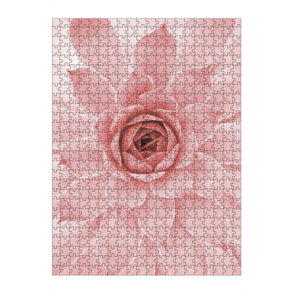 artboxONE Puzzle "Pale Pink Succulent" artboxONE - Natur,Floral - Succulent,Desert - Bild succulent