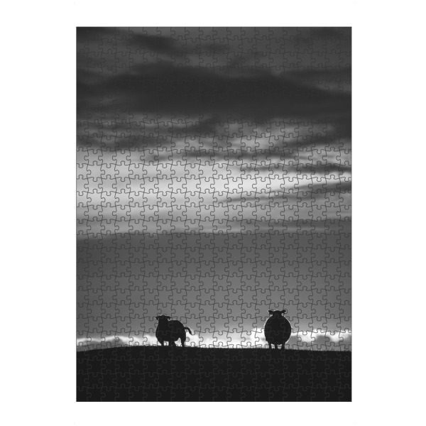 Puzzle Ravensburger "Sheep B&W" artboxONE - Tiere,Schwarzweiß - Schafe,Utakleiv,Lofoten - Bild schafe