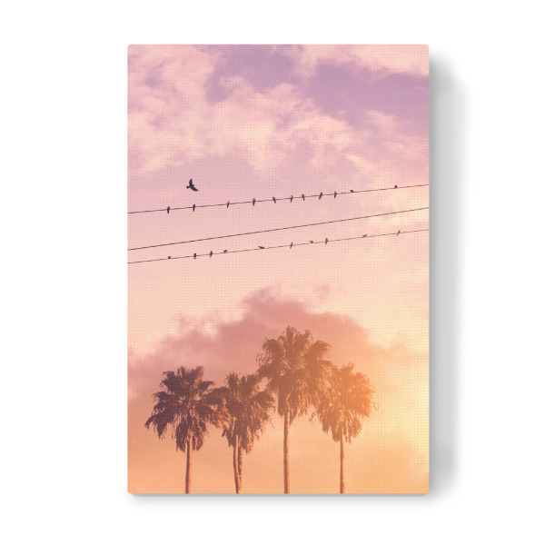 Leinwandbild "BIRDS ON A WIRE" artboxONE - Natur - Birds,Summer,Palm trees,Clouds,Minimal art,Surreal,Silhouette,Landscape,Pink