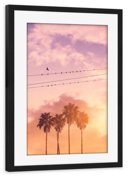 Poster mit Rahmen schwarz "BIRDS ON A WIRE" artboxONE - Natur - Birds,Summer,Palm trees,Clouds,Minimal art,Surreal,Silhouette,Landscape,Pink