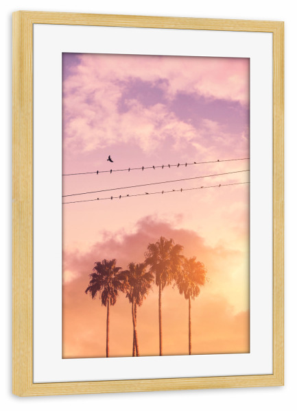 Poster mit Rahmen kiefer "BIRDS ON A WIRE" artboxONE - Natur - Birds,Summer,Palm trees,Clouds,Minimal art,Surreal,Silhouette,Landscape,Pink