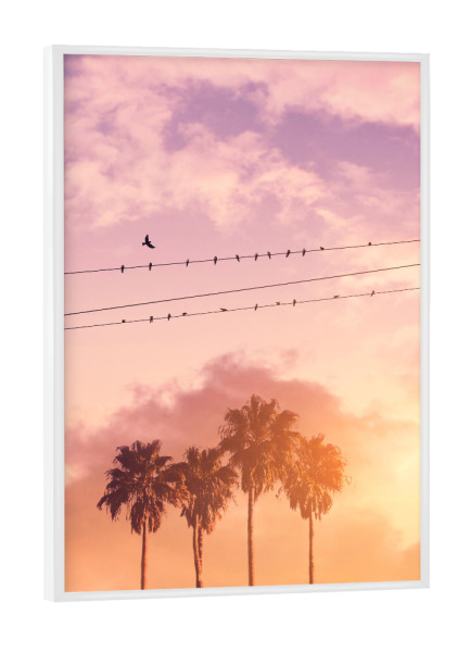 Poster mit weißem Rahmen "BIRDS ON A WIRE" artboxONE - Natur - Birds,Summer,Palm trees,Clouds,Minimal art,Surreal,Silhouette,Landscape,Pink