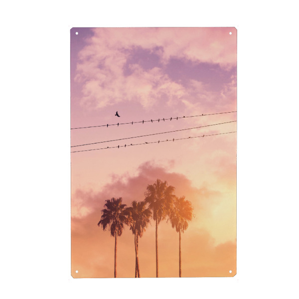 Metall Poster "BIRDS ON A WIRE" artboxONE - Natur - Birds,Summer,Palm trees,Clouds,Minimal art,Surreal,Silhouette,Landscape,Pink - Blechschild