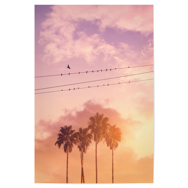 Poster "BIRDS ON A WIRE" artboxONE - Natur - Birds,Summer,Palm trees,Clouds,Minimal art,Surreal,Silhouette,Landscape,Pink