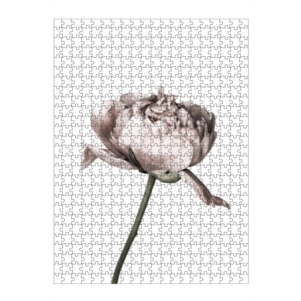 artboxONE Puzzle "Peony Photo" artboxONE - Floral - Pfingstrose,Blume,Nahaufnahme - Bild pfingstrose