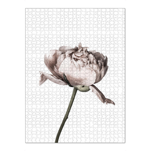 Puzzle Ravensburger "Peony Photo" artboxONE - Floral - Pfingstrose,Blume,Nahaufnahme - Bild pfingstrose