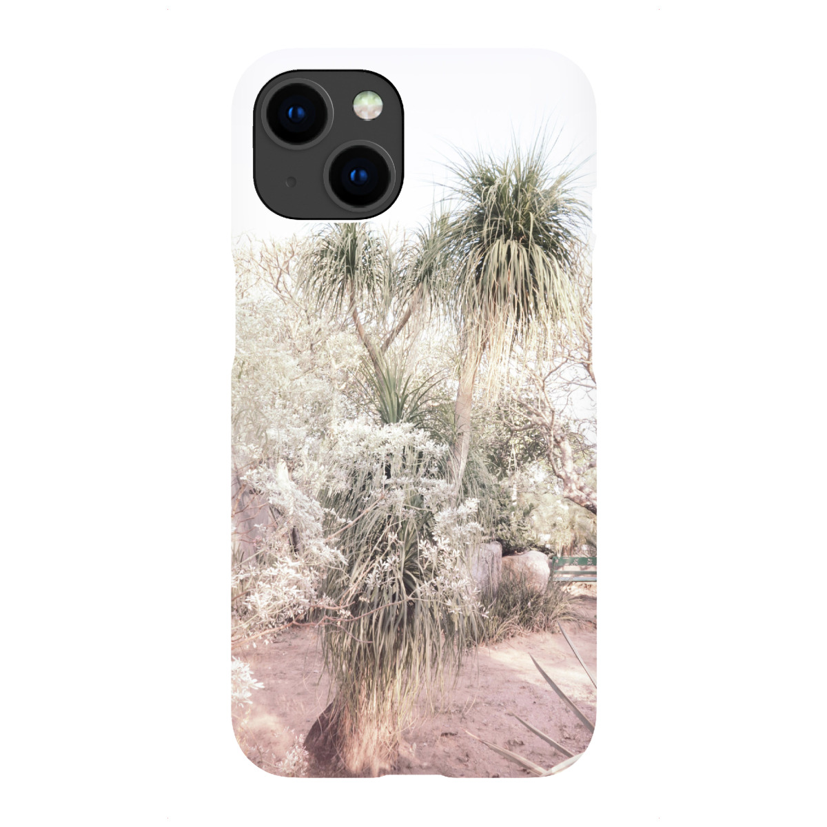 "Pink Desert Plant"für iPhone - Premium-Case Handyhülle artboxONE