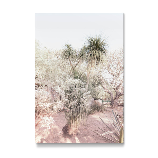 Galerie-Print "Pink Desert Plant" 30x20 cm artboxONE