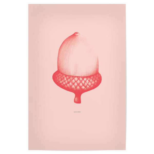Poster "Beautiful acorn coral" artboxONE - Natur