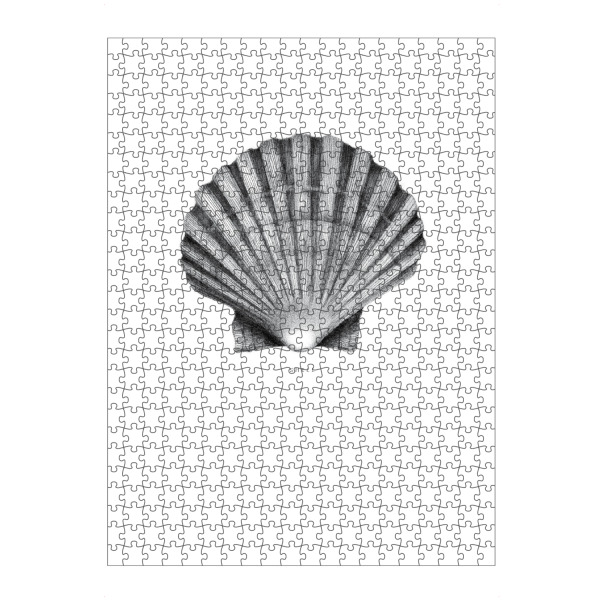 artboxONE Puzzle "Beautiful shell black and white" artboxONE - Schwarzweiß,Unterwasser