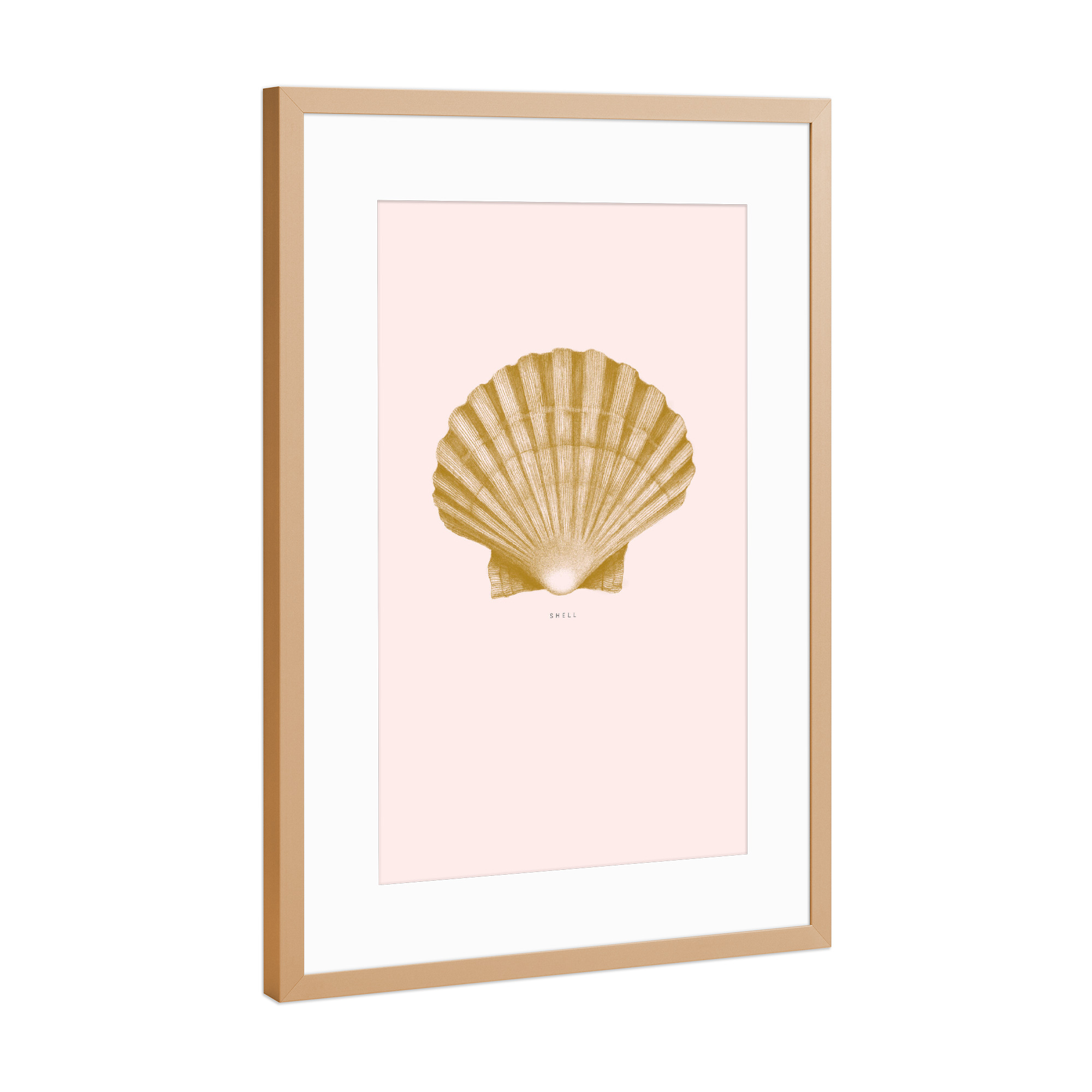Poster mit Rahmen Kupfer "Beautiful shell light pink" artboxONE - Unterwasser