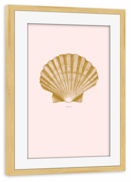 Poster mit Rahmen kiefer "Beautiful shell light pink" artboxONE - Unterwasser