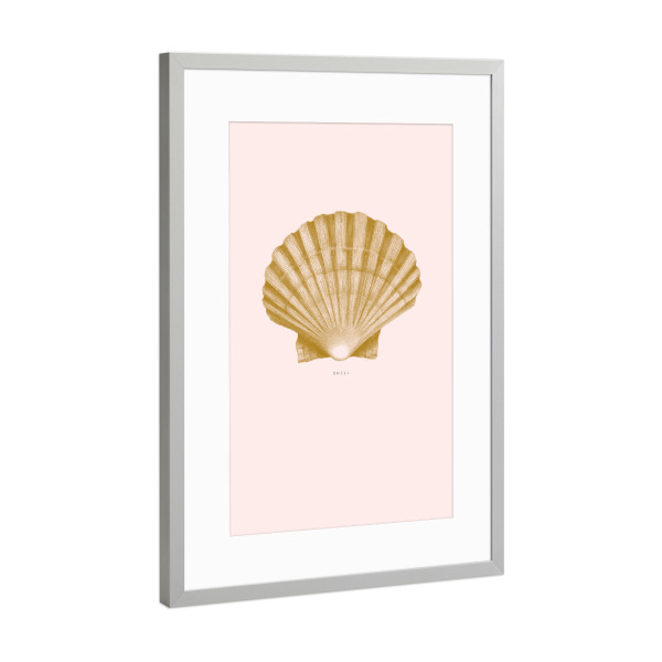 Poster mit Rahmen Silber "Beautiful shell light pink" artboxONE - Unterwasser