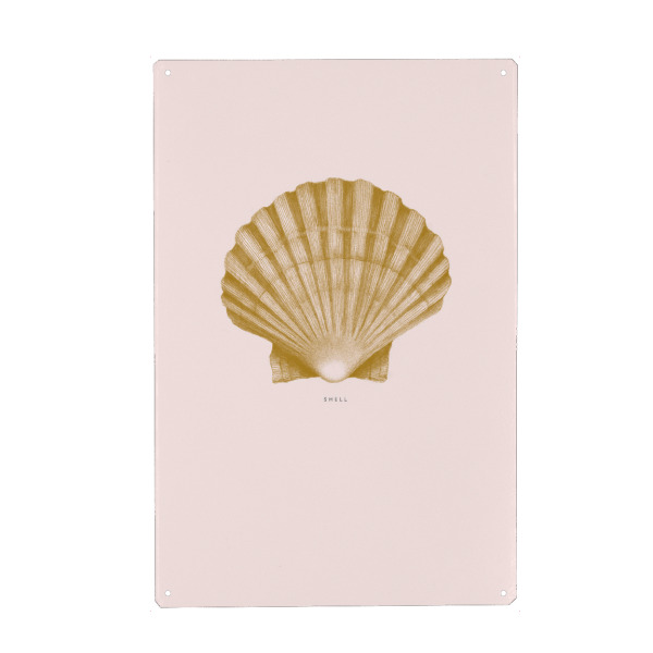 Holzbild "Beautiful shell light pink" artboxONE - Unterwasser