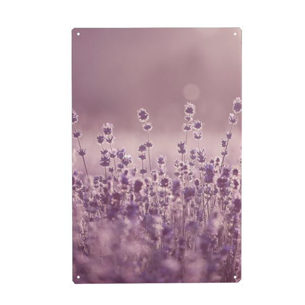 Holzbild "Lavender Sunset" artboxONE - Natur,Floral - Lavender,Field,Lavenderfield,Violet,Nature,Flower