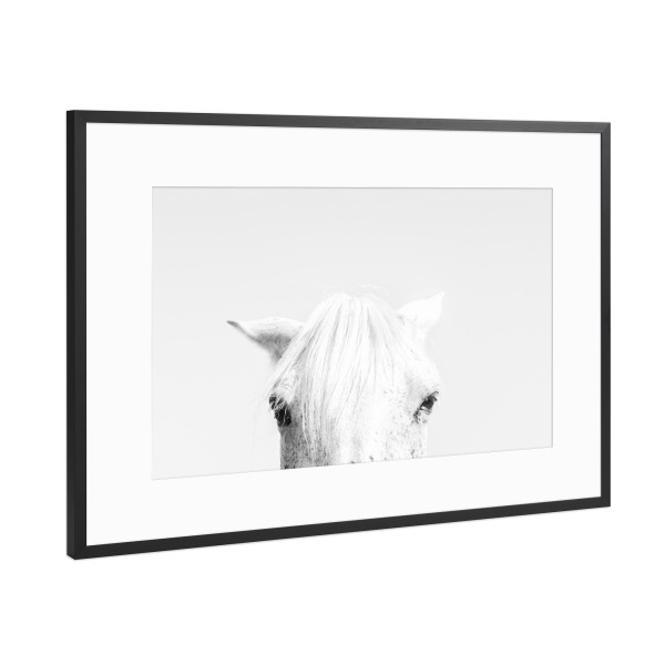 Poster mit Rahmen Schwarz (Metallic) "White Horse Head" artboxONE - Natur,Tiere